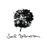 Soul Vibration logo